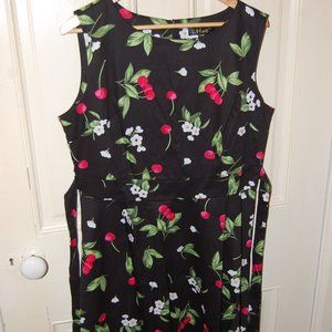 Vintage look fit and flare sleeveless dress XL